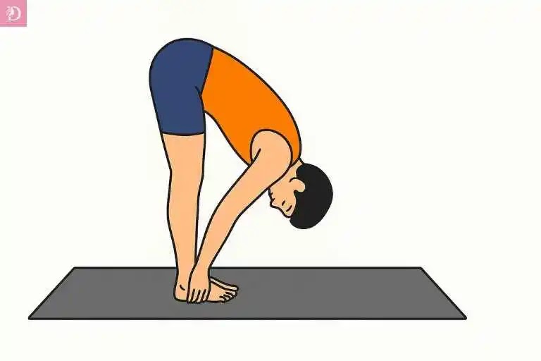 Illustration of Uttanasana Standing Forward Bend, sending blood flow to the face, reducing stress, and boosting skin radiance.